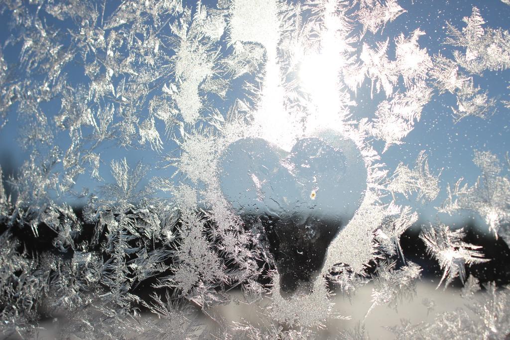 Arctic Heart Gasthof